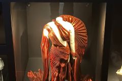 Iris-van-Herpen-in-Brisbane101