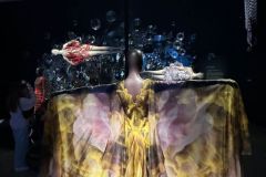 Iris-van-Herpen-in-Brisbane127