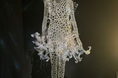 Iris-van-Herpen-in-Brisbane6