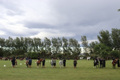 Pony judging