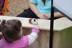 Learning how to feed a guinea pig