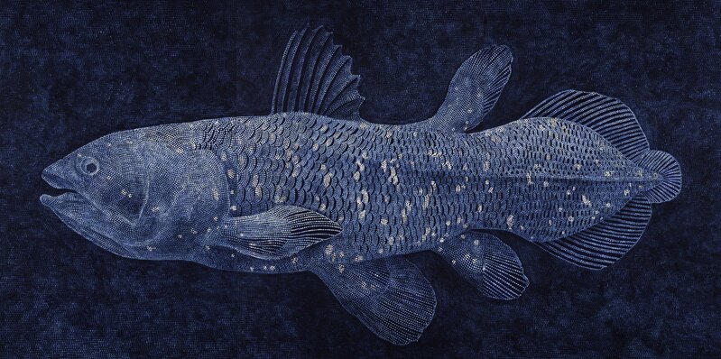 The amazing coelacanth